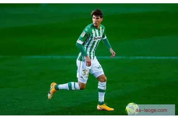 发现老哥俱乐部九游会